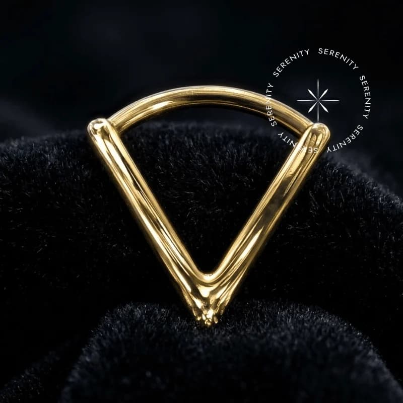 PVD 1203 - Argola Articulada Formato V Lisa - Titânio Revestido de Ouro 18k — foto 1