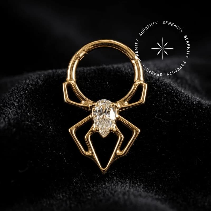 PVD 1062 - Argola Articulada Escultural Aranha Cravejada - Titânio Revestido de Ouro 18k — foto 1