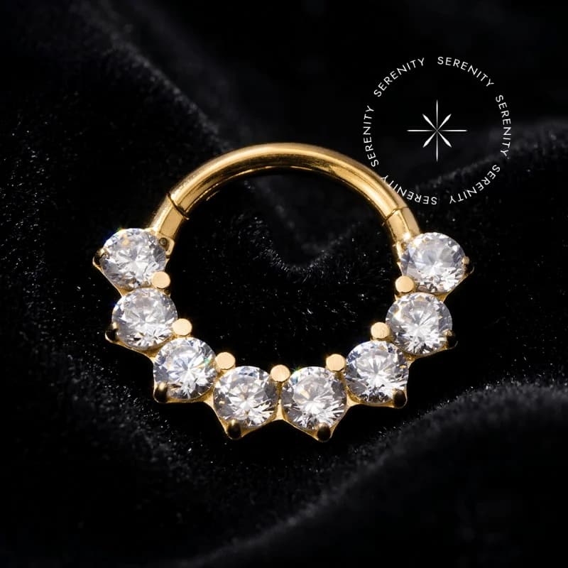 TN2273 - Argola Segmento 8 CZ Frontal - Titânio Revestido de Ouro 18k — foto 1