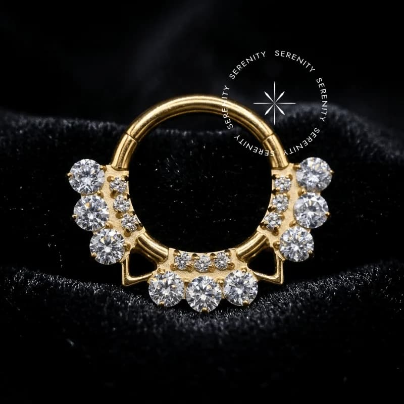 TN1311 - Argola Frontal 9 Zircônias - Titânio Revestido de Ouro 18k — foto 1