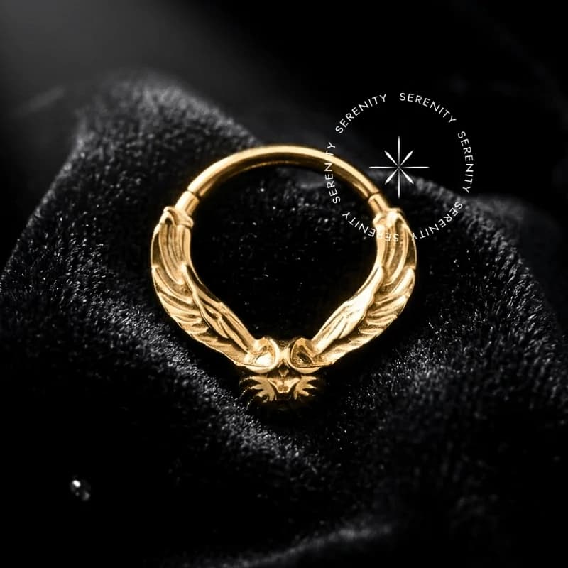TN1770 - Argola Frontal Pomo de Ouro - Titânio Revestido de Ouro 18k — foto 1
