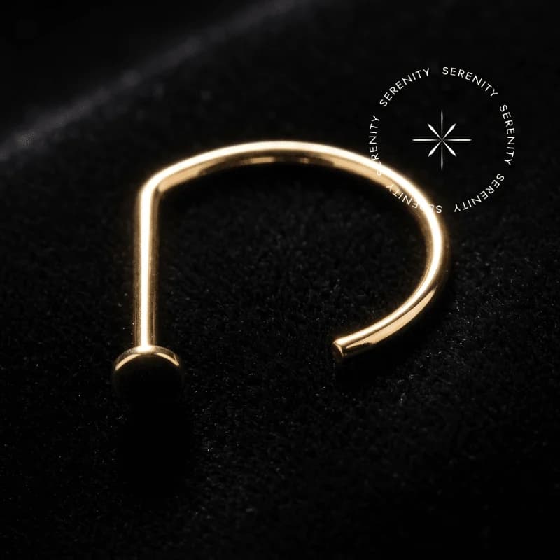 OR107 - Argola D-Ring Lisa - Ouro 18k Maciço — foto 1