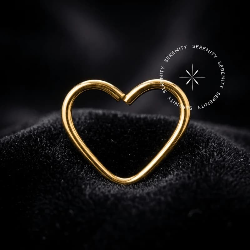 OR20 - Argola Coração Daith Liso - Ouro 18K Maciço — foto 1