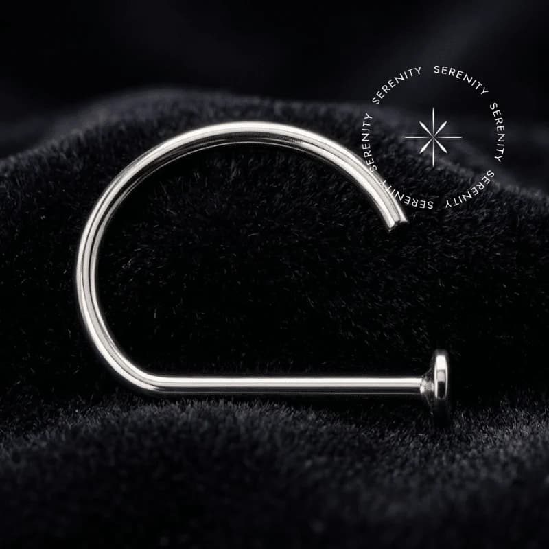 OR108 - Argola D-Ring Lisa - Ouro Branco 18k Maciço — foto 1