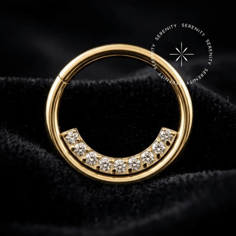 PVD 1211 - Argola Clicker Linha Cravejada - Titânio Revestido de Ouro 18k — foto 1