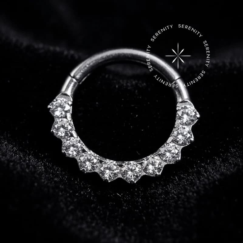 TN1246 - Argola Segmento Cravejada Frontal - Titânio Grau Implante (ASTM F136) — foto 1
