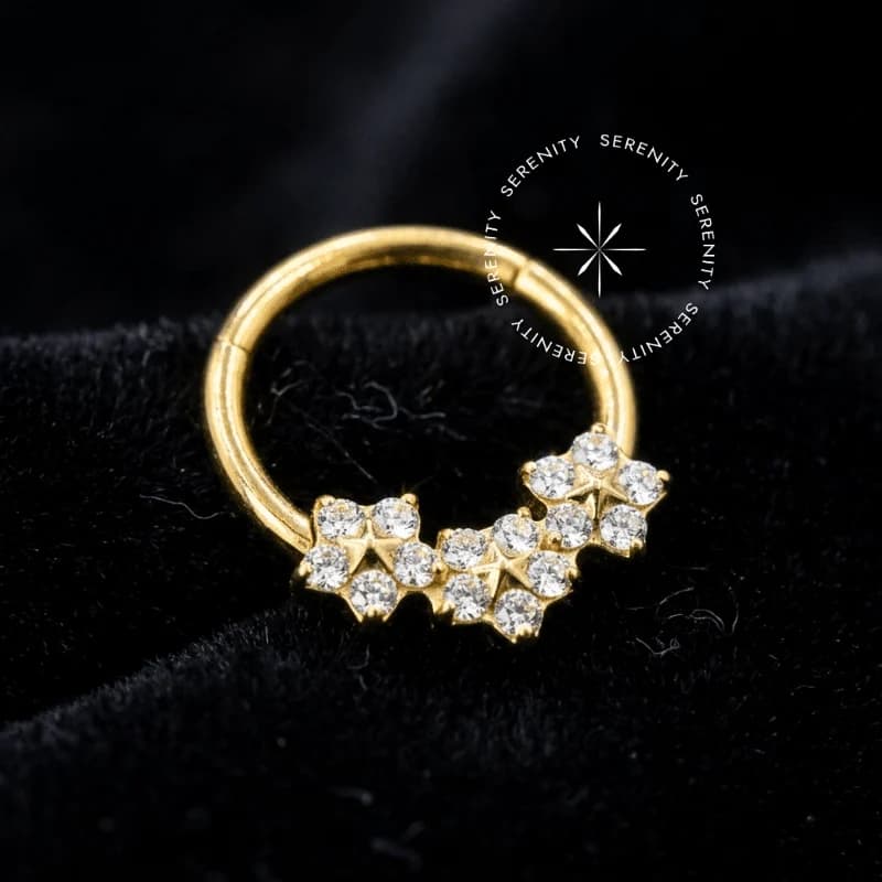 TN1069 - Argola Frontal Flores - Titânio Revestido de Ouro 18k — foto 1