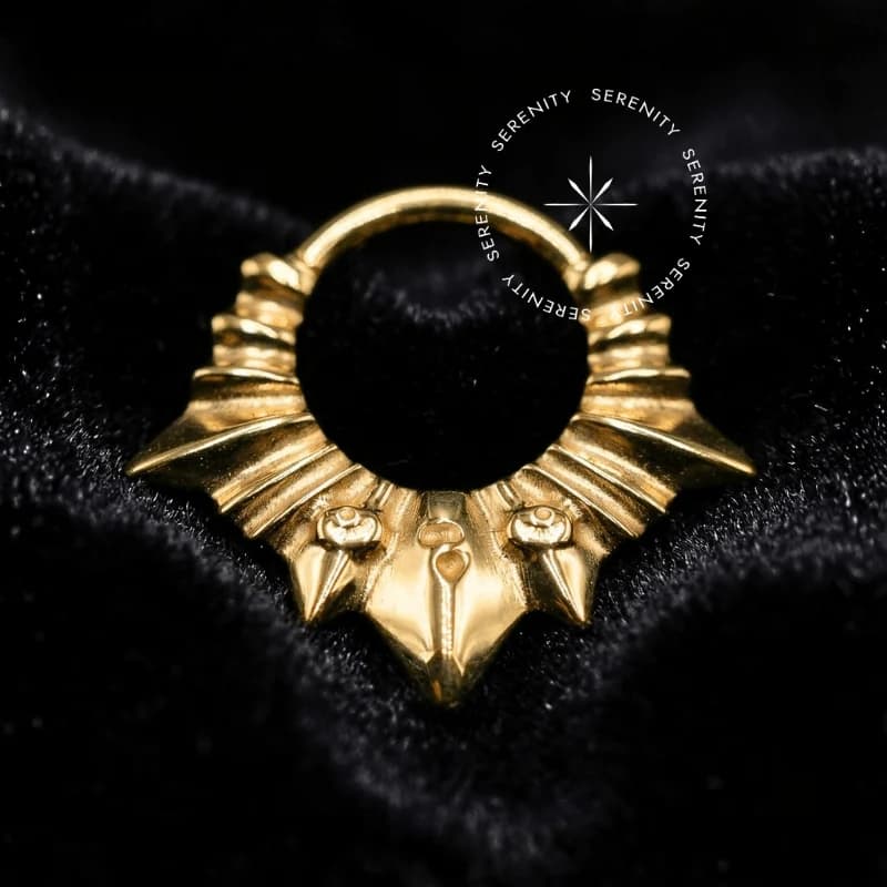 TN1384 - Argola Raios Metálicos - Titânio Revestido de Ouro 18k — foto 1
