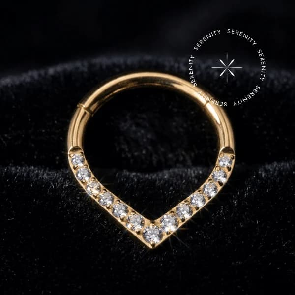 TN1962 - Argola Segmento Frontal Gota - Titânio Revestido de Ouro 18k — foto 1