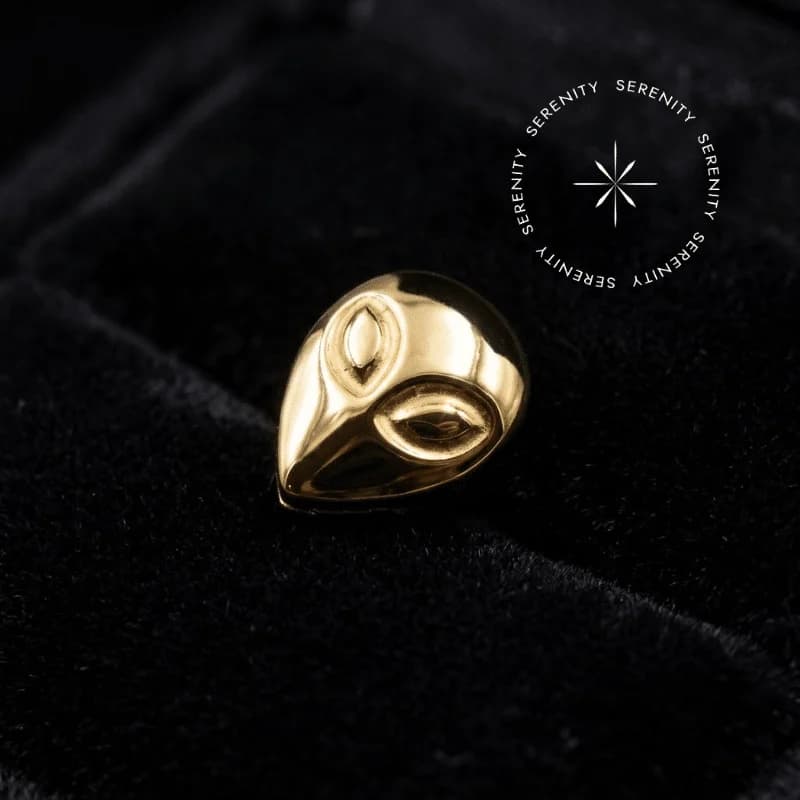 TN846 - Topo ET - Titânio Revestido de Ouro 18k — foto 1