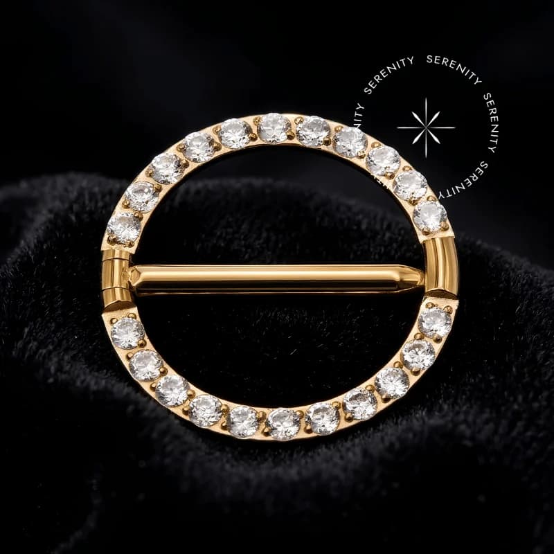 TN2423 - Argola Circular Cravejada - Titânio Revestido de Ouro 18k — foto 1