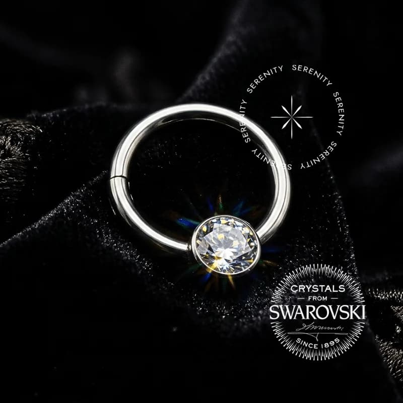 TS08 - Argola Segmento Frontal Swarovski - Titânio Grau Implante ASTM F136 — foto 1