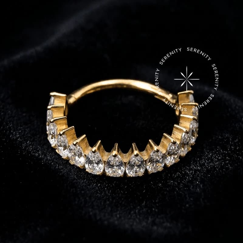TN1964 - Argola Coroa Cravejada - Titânio Revestido de Ouro 18k — foto 1