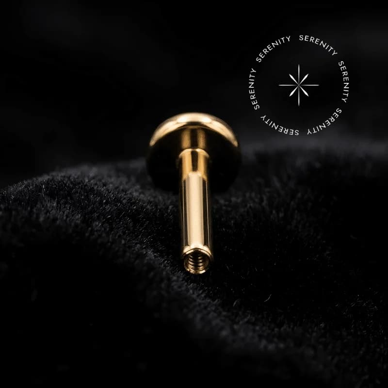 TN280 Haste Labret Titânio Revestido de Ouro 18k (Rosca Interna) — foto 1