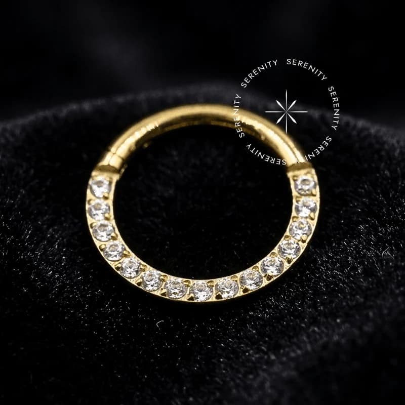 TN301 - Argola Frontal Cravejada - Titânio Revestido de Ouro 18k — foto 1