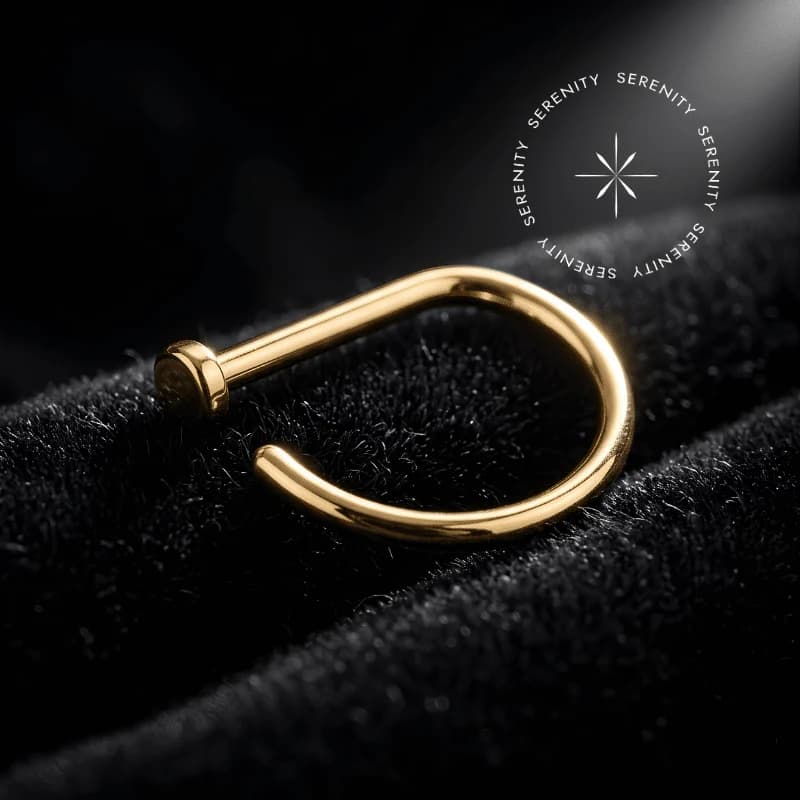 TN221 - Argola D-Ring Haste Reta - Titânio Revestido de Ouro 18k — foto 1