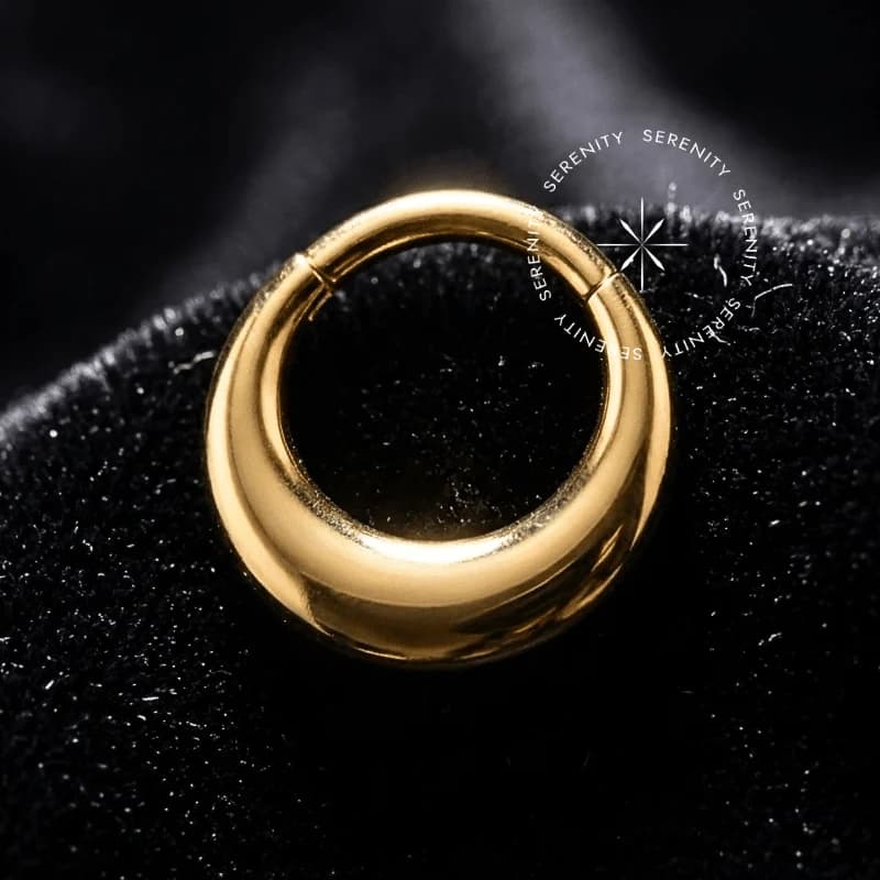 TN1175 - Argola Frontal Abaulada Liso - Titânio Revestido de Ouro 18k — foto 1