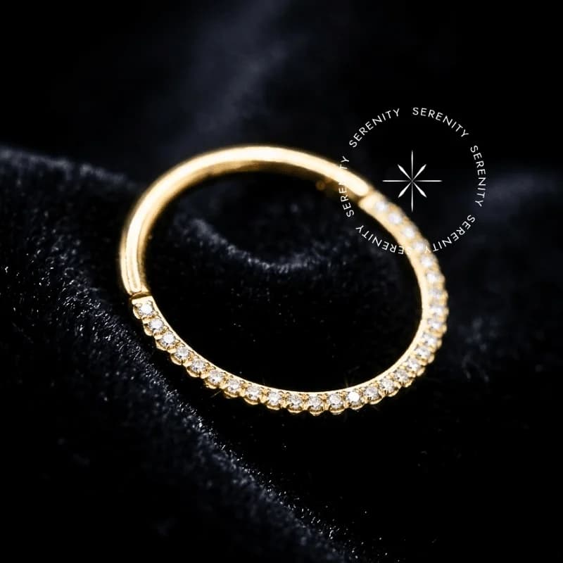 TN1184 - Argola Cravejada Inca - Titânio Revestido de Ouro 18k — foto 1