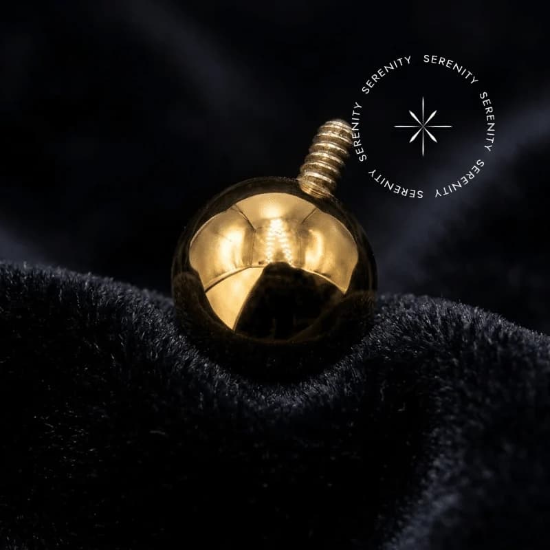 TN1686 - Topo Esfera Clássica - Titânio Revestido de Ouro 18k — foto 1