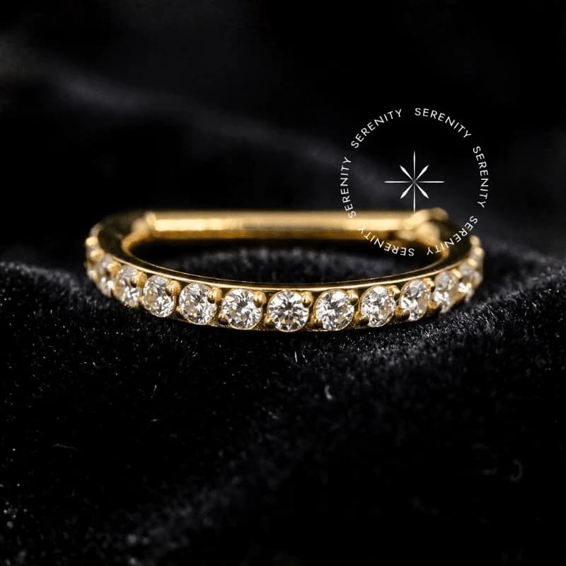 TN74 - Argola D-Ring Haste Reta Cravejada - Titânio Revestido de Ouro 18k — foto 1
