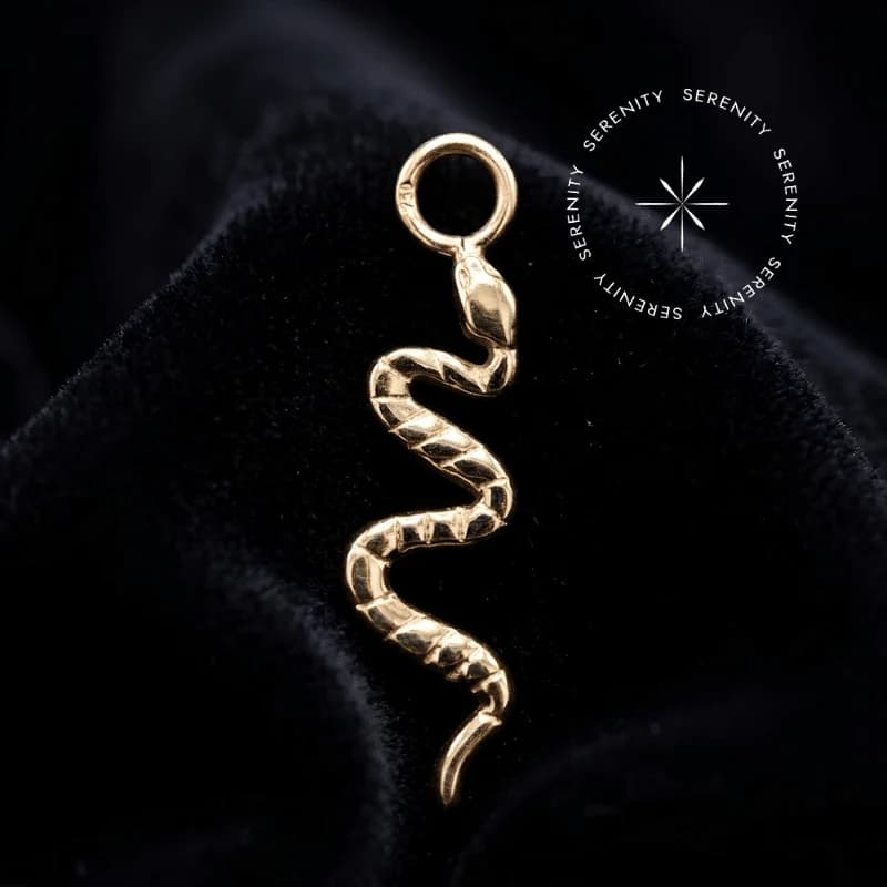 TN1611 - Pingente Cobra - Titânio Revestido de Ouro 18k — foto 1