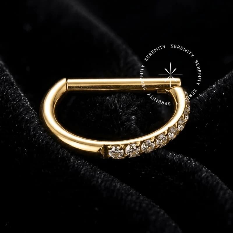 TN587 - Argola D-Ring Meio Cravejada - Titânio Revestido de Ouro 18k — foto 1