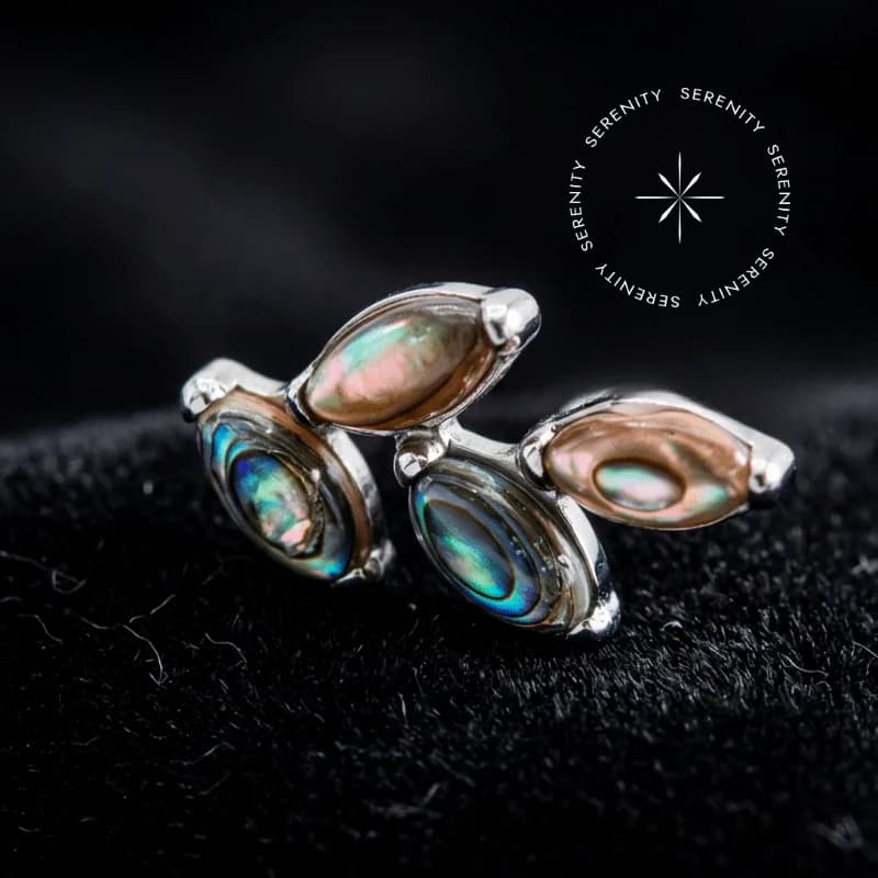 TN 3467 - Topo Cluster Pedra Natural Abalone - Titânio Grau Implante (ASTM F136) — foto 1