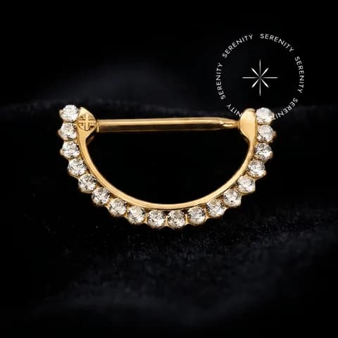 TN2250 - Nipple Clicker Haste Reta CZ - Titânio Revestido de Ouro 18k