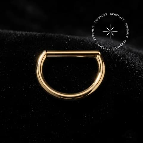 TN1148 - Argola Segmento D-Ring com Haste Reta - Titânio Revestido de Ouro 18k
