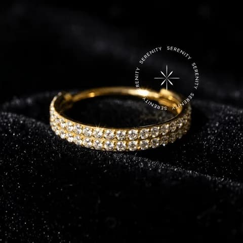 TN27 - Argola Segmento Cravejada Dupla - Titânio Revestido de Ouro 18k