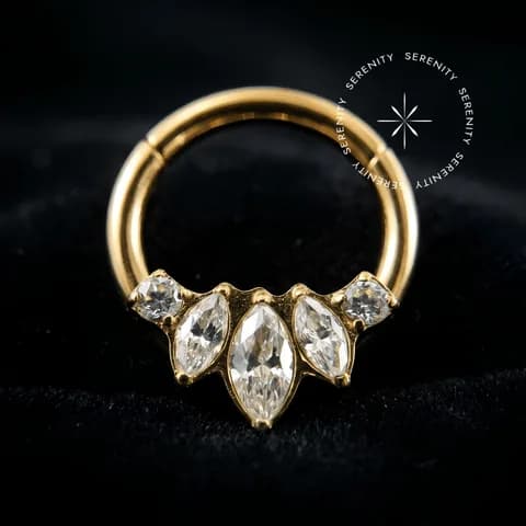 Tn 249 - Argola Clicker Cravejada Lótus - Titânio Revestido de Ouro 18k