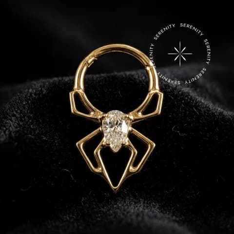 PVD 1062 - Argola Articulada Escultural Aranha Cravejada - Titânio Revestido de Ouro 18k