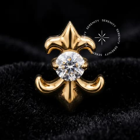 TN2027 - Topo Flor De Lis - Titânio Revestido de Ouro 18k