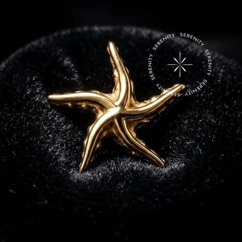OR103 - Topo Estrela do Mar - Ouro 18K Maciço