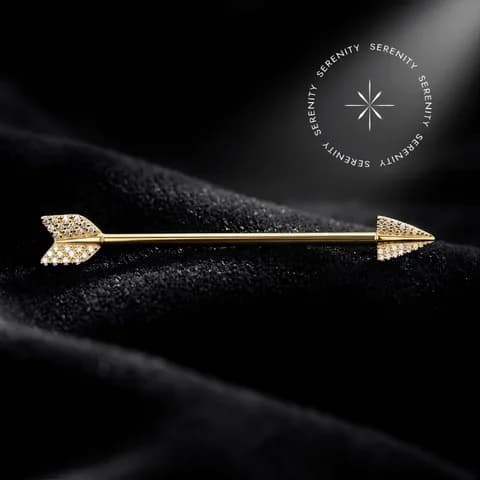 TN2248 - Transversal Flecha Cravejada - Titânio Revestido de Ouro 18k