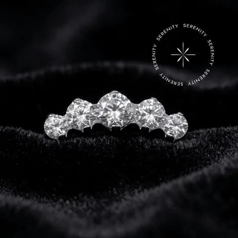 TN346 - Topo Cluster 5 Zircônias com Garras - Titânio Grau Implante (ASTM F136)