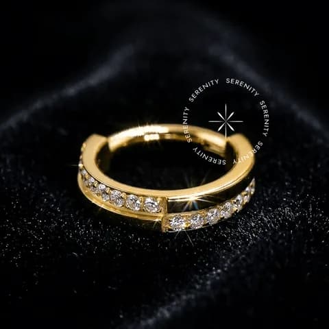 TN1237 - Argola Camadas Lisa e Cravejada - Titânio Revestido de Ouro 18k