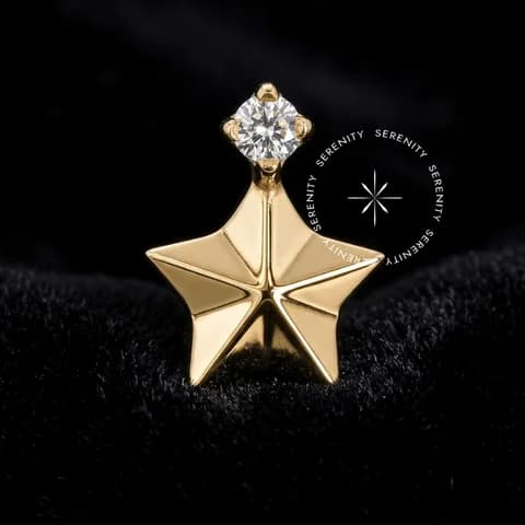 TN2014 - Topo Estrela Facetada - Titânio Revestido de Ouro 18k