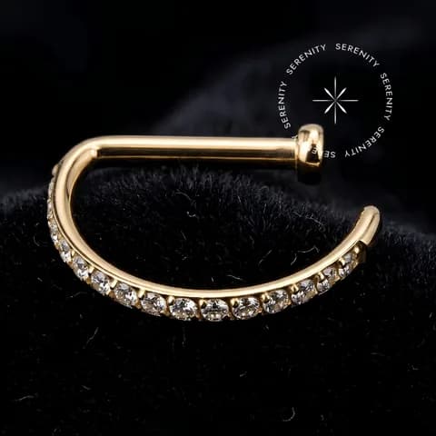 TN2417 - Argola D-Ring Cravejada - Titânio Revestido de Ouro 18k