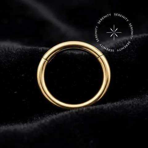 TN623 - Argola Clicker Segmento Liso - Titânio Revestido de Ouro 18k