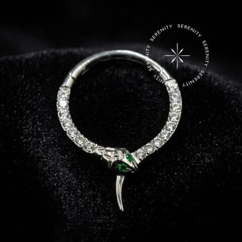 TN1097 - Argola Serpente Cravejada Frontal - Titânio Grau Implante (ASTM F136)