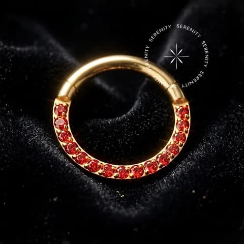 TN1616 - Argola Frontal Cravejada Garnet - Titânio Revestido de Ouro 18k