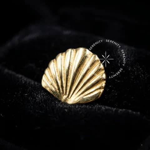 OR68 - Topo Concha - Ouro 18K Maciço