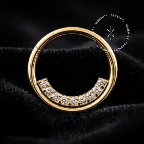 PVD 1211 - Argola Clicker Linha Cravejada - Titânio Revestido de Ouro 18k