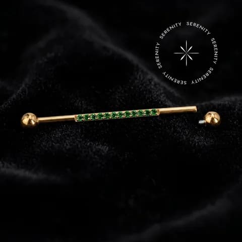 TN1780 - Transversal Cravejado Linear - Titânio Revestido de Ouro 18k