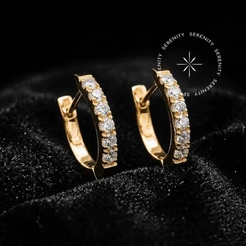 TN2166/7/8 Brinco Argola Haste Reta Zircônia - Titânio Revestido de Ouro 18k