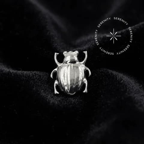 TN892 - Topo Big Besouro - Titânio Grau Implante (ASTM F136)