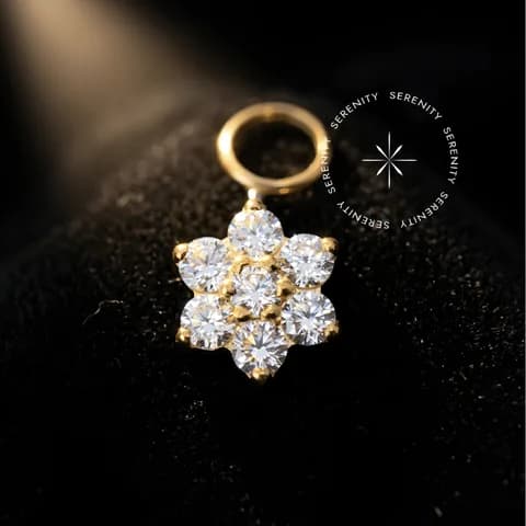 TN1634 - Pingente Flor 6 Pétalas - Titânio Revestido de Ouro 18k