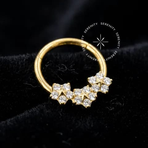 TN1069 - Argola Frontal Flores - Titânio Revestido de Ouro 18k