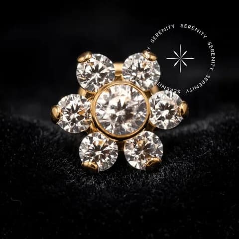 TN1395 - Topo Cravejado Flor Seis Pétalas - Titânio Revestido de Ouro 18k